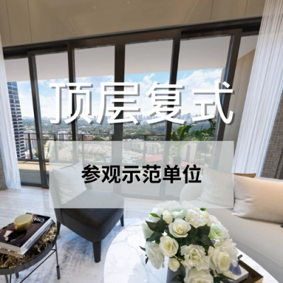 leedon penthouse (1)