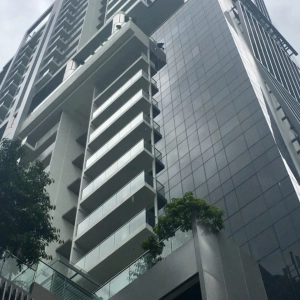 26 Newton