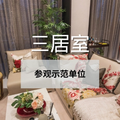 the lumos 3br (1)