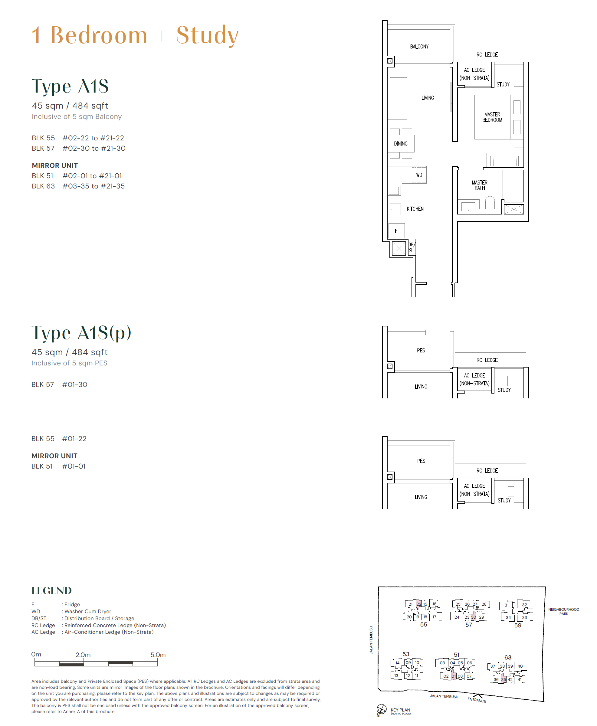 Emerald of Katong 嘉乐轩 A1S(p) 户型图